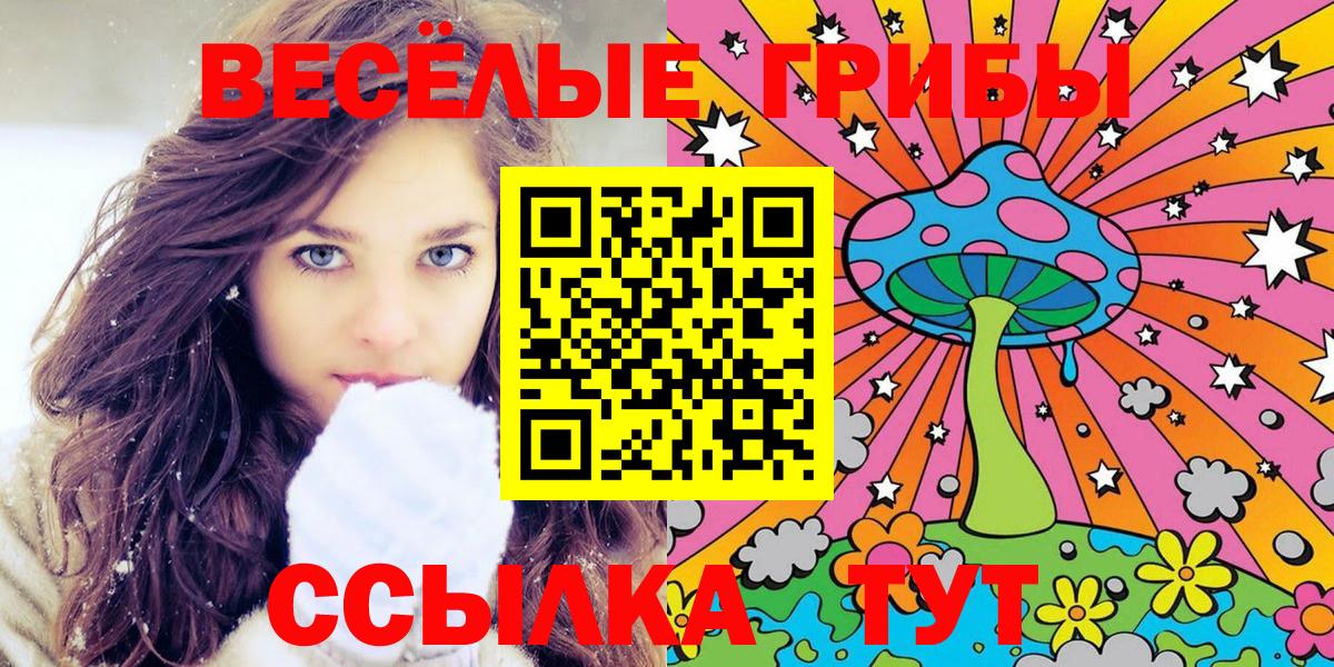 купить наркотики сайты  Псилоцибиновые грибы Psilocybine cubensis  Вход с VPN  Сергиев Посад  Псилоцибиновые грибы GOLDEN TEACHER 